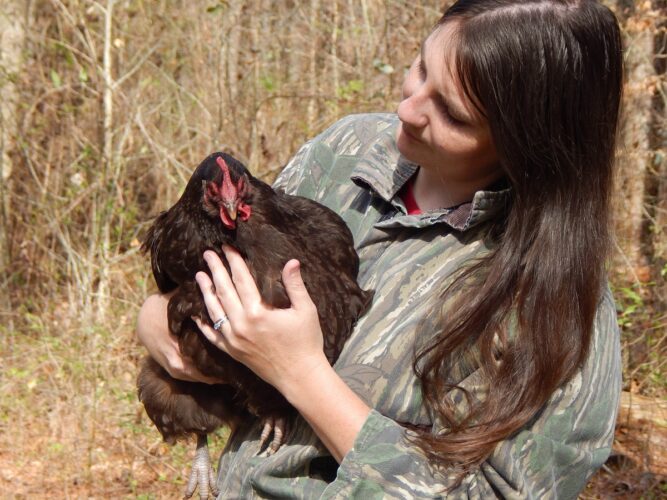 Reflecting on 6 Years as a Mother Earth News Blogger